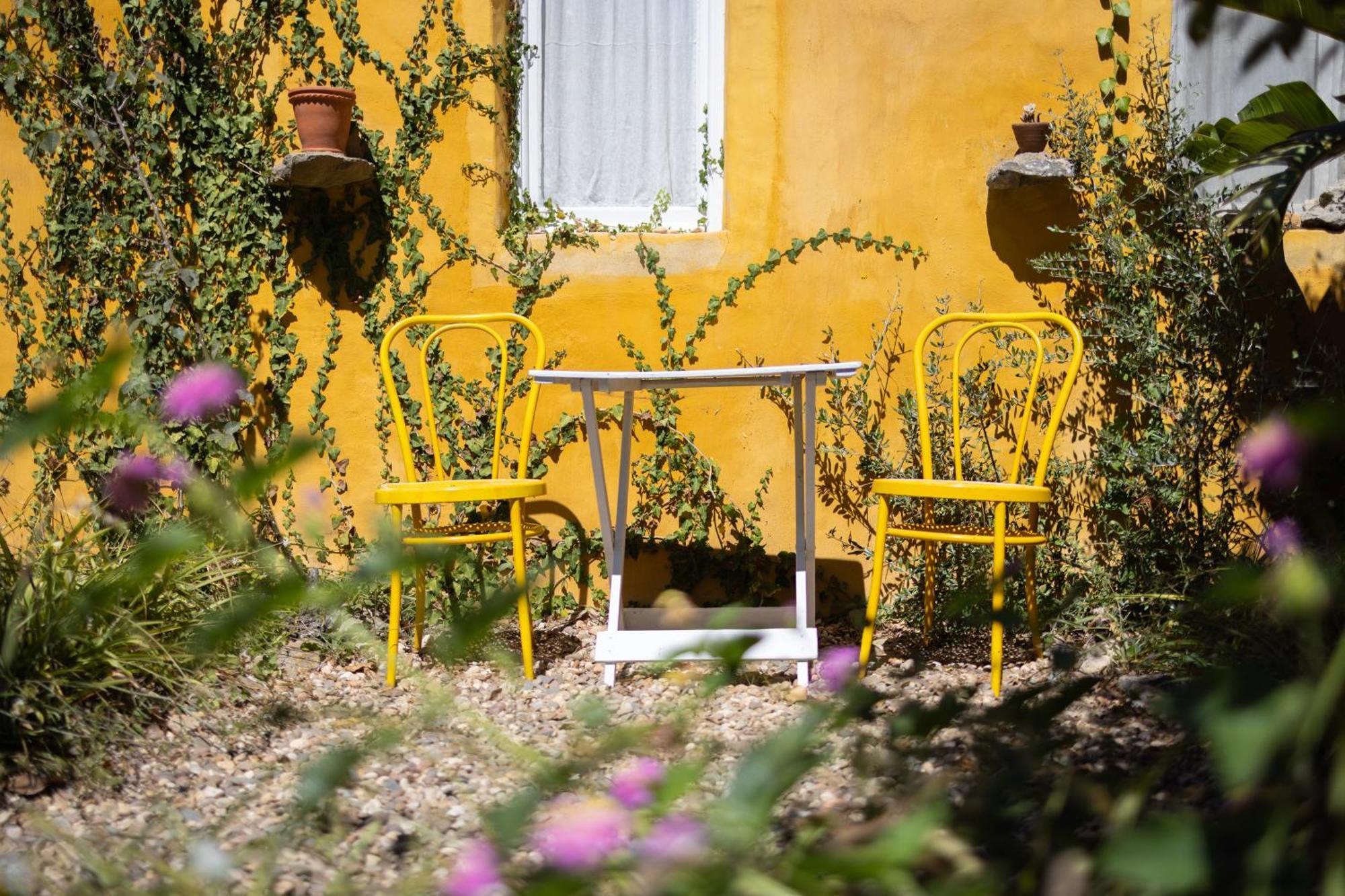 Bed and Breakfast Alma Do Paco Santo Isidoro Екстер'єр фото